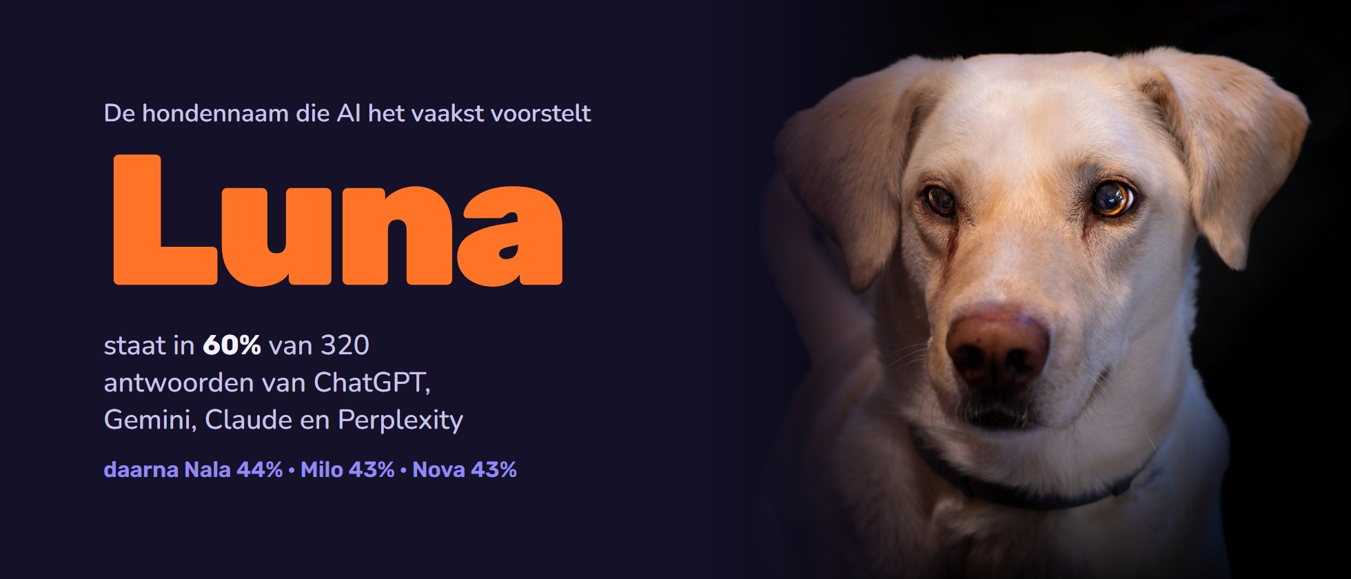 Vraag AI om een hondennaam en je krijgt bijna altijd Luna
