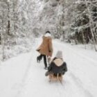 Aanhoudende sneeuwval leidt tot historisch hoogtepunt in online zoekgedrag naar winterartikelen